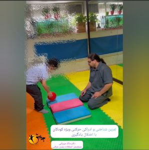 تمرین شناختی و ادراکی حرکتی با توپ ویژه کودکان با اختلال یادگیری