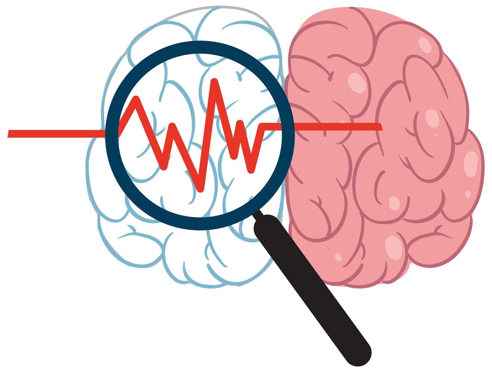نقشه برداری مغز و کاربردهای آن