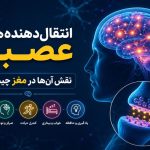 انتقالدهندههای عصبی و نقش آنها در عملکرد مغز