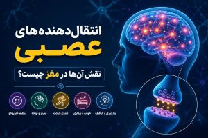 انتقال‌دهنده‌های عصبی و نقش آن‌ها در عملکرد مغز