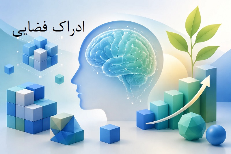 همه چیز درباره ادراک فضایی
